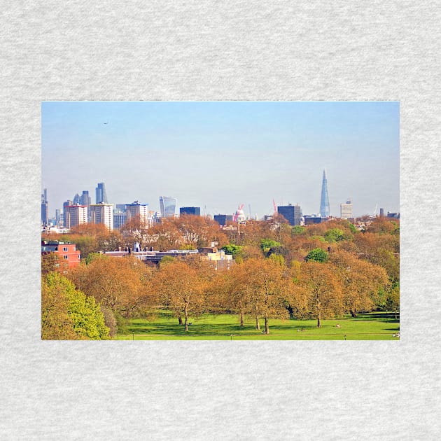 London Skyline Cityscape Primrose Hill by AndyEvansPhotos